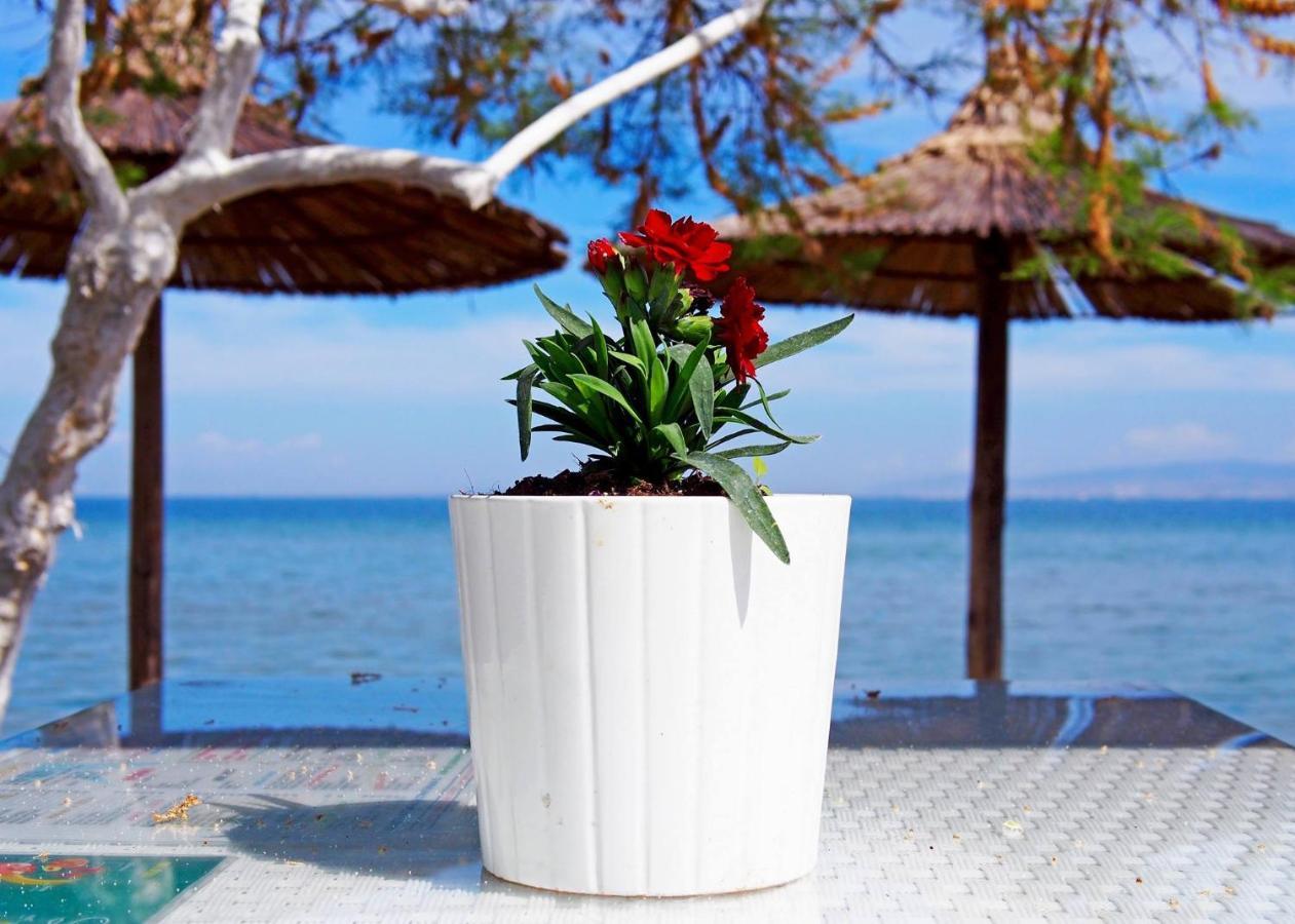 Rena'S Traditional Aegean House By The Sea Peraia  Bagian luar foto